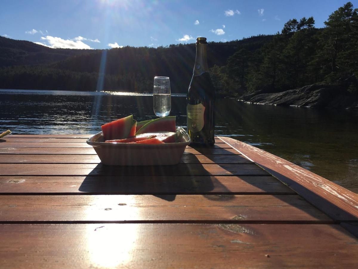 Sinesoyni In Byglandsfjord - Evje Villa Kültér fotó